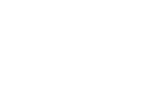 logo en blanco 07